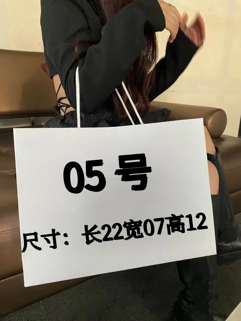 05 号 (X）轻奢便携休闲链条斜跨包#6166