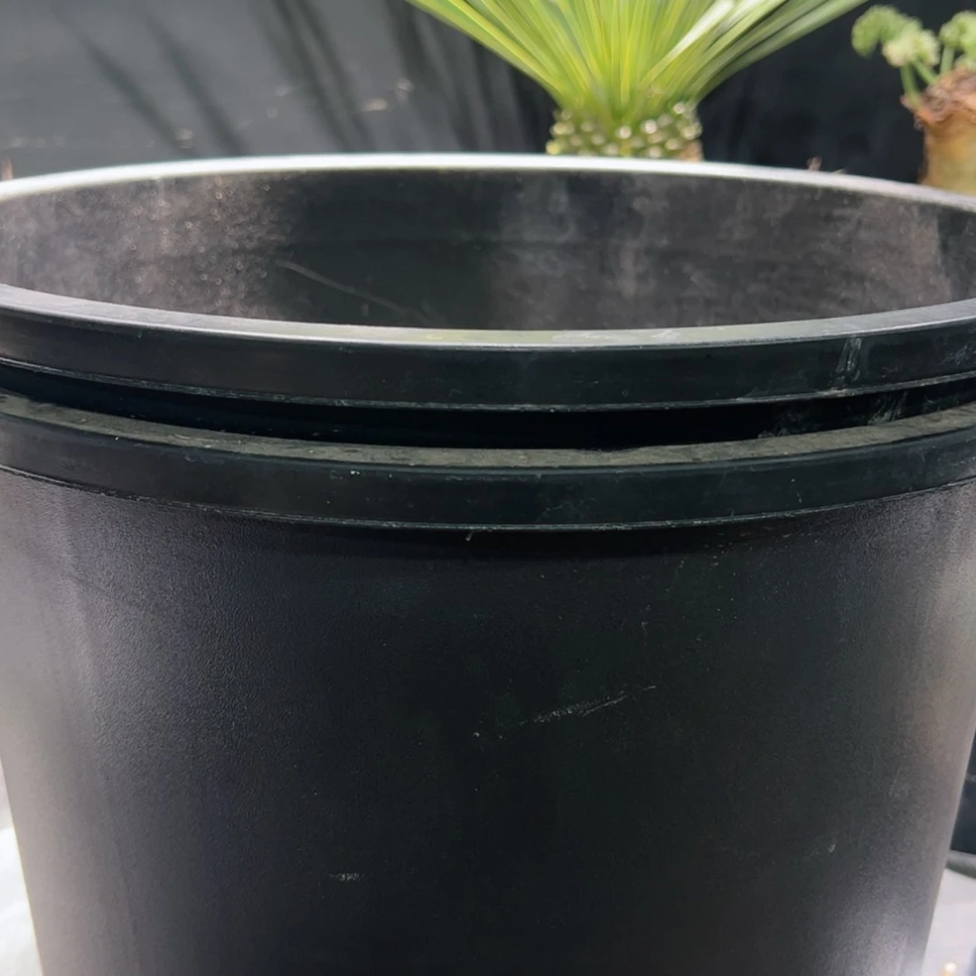 【闪购商品】4号抽6