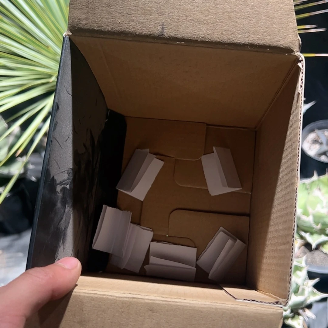 【闪购商品】抓阄….