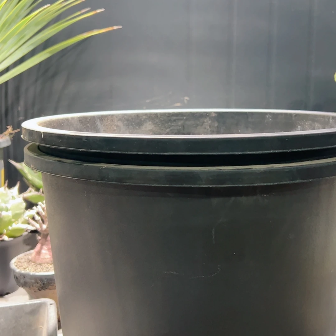 【闪购商品】5号抽6