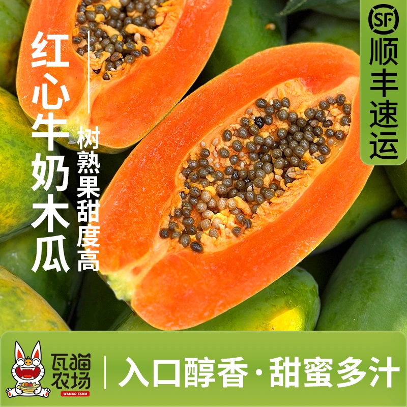瓦猫农场顺丰包邮海南新鲜多汁包赔红心牛奶木瓜清甜口感产地直发