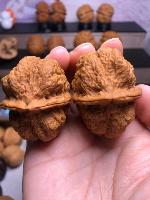 九五帝皇蟾云南野生铁皮核桃文玩