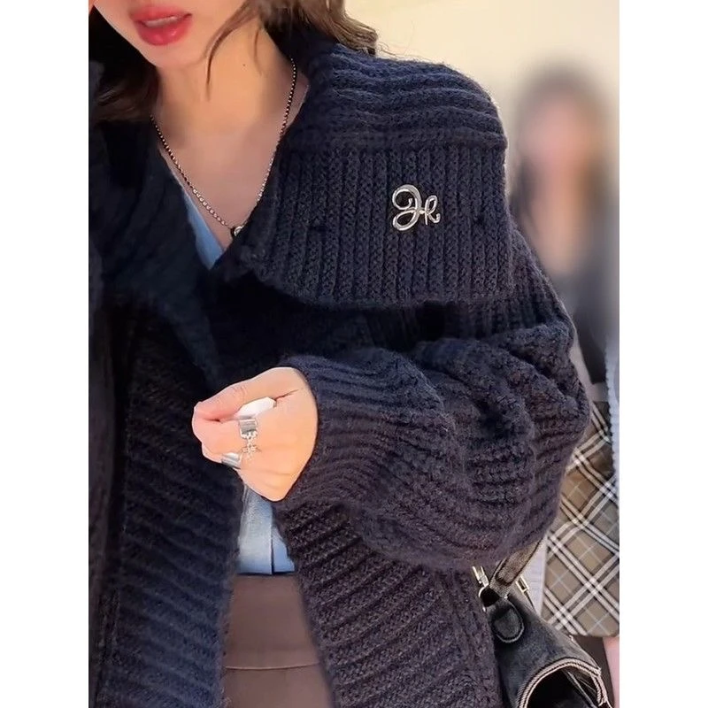 合金胸针 胸针女款设计感小众高档精致小香风西装复古高级感气质