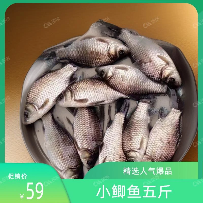 小鲫鱼乌苏里江鱼五斤福利款