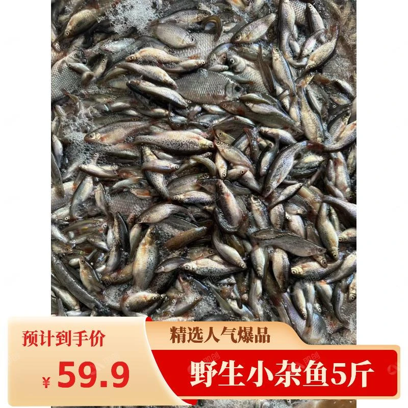 炸酱小杂鱼5斤图片仅供参考顺丰包邮