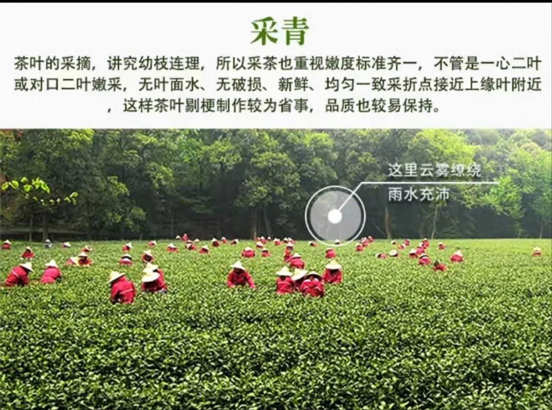 【娜姐严选】小马肉*20罐红色礼盒装