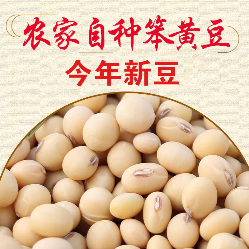 今年新黄豆大豆农家自种传统椭圆形土黄豆品种打豆浆豆腐新豆子