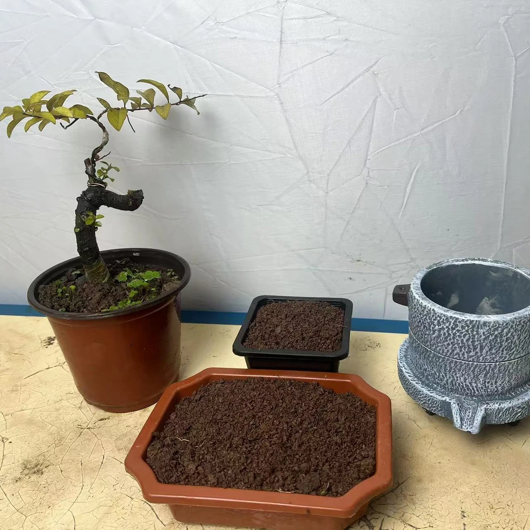 生庄生根专用风化土