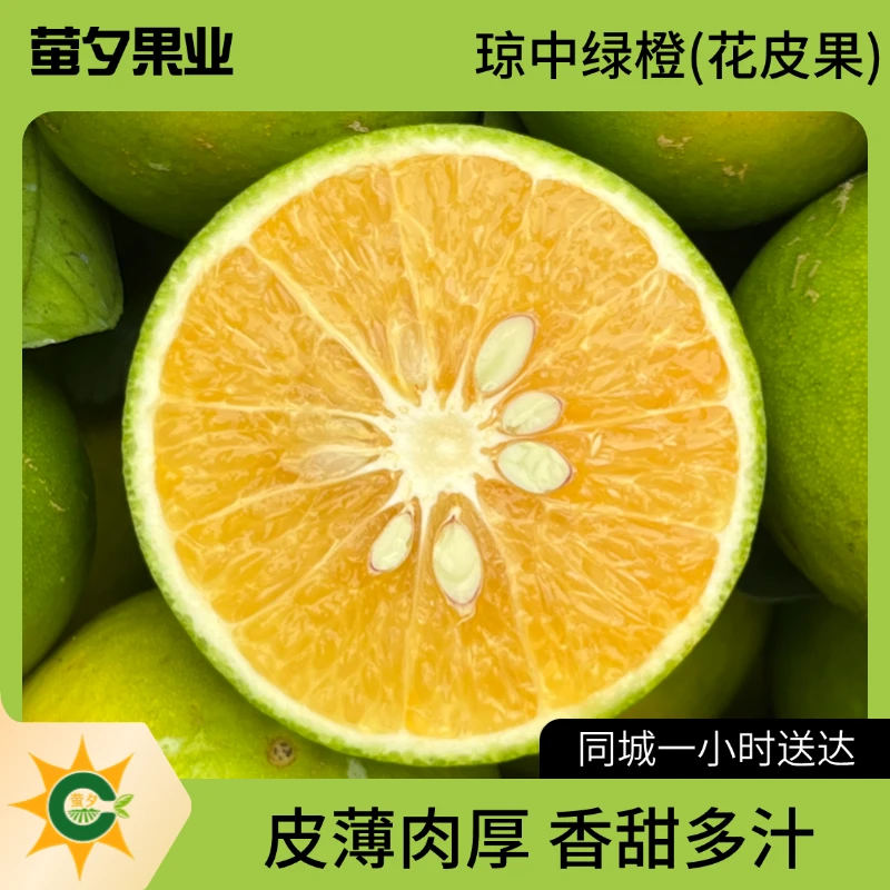 【萤夕小时达】海南正宗 琼中绿橙花皮果 新鲜应季特产 果园现摘产地直发 甜水皮薄肉厚多汁 5斤10斤箱装 散装
