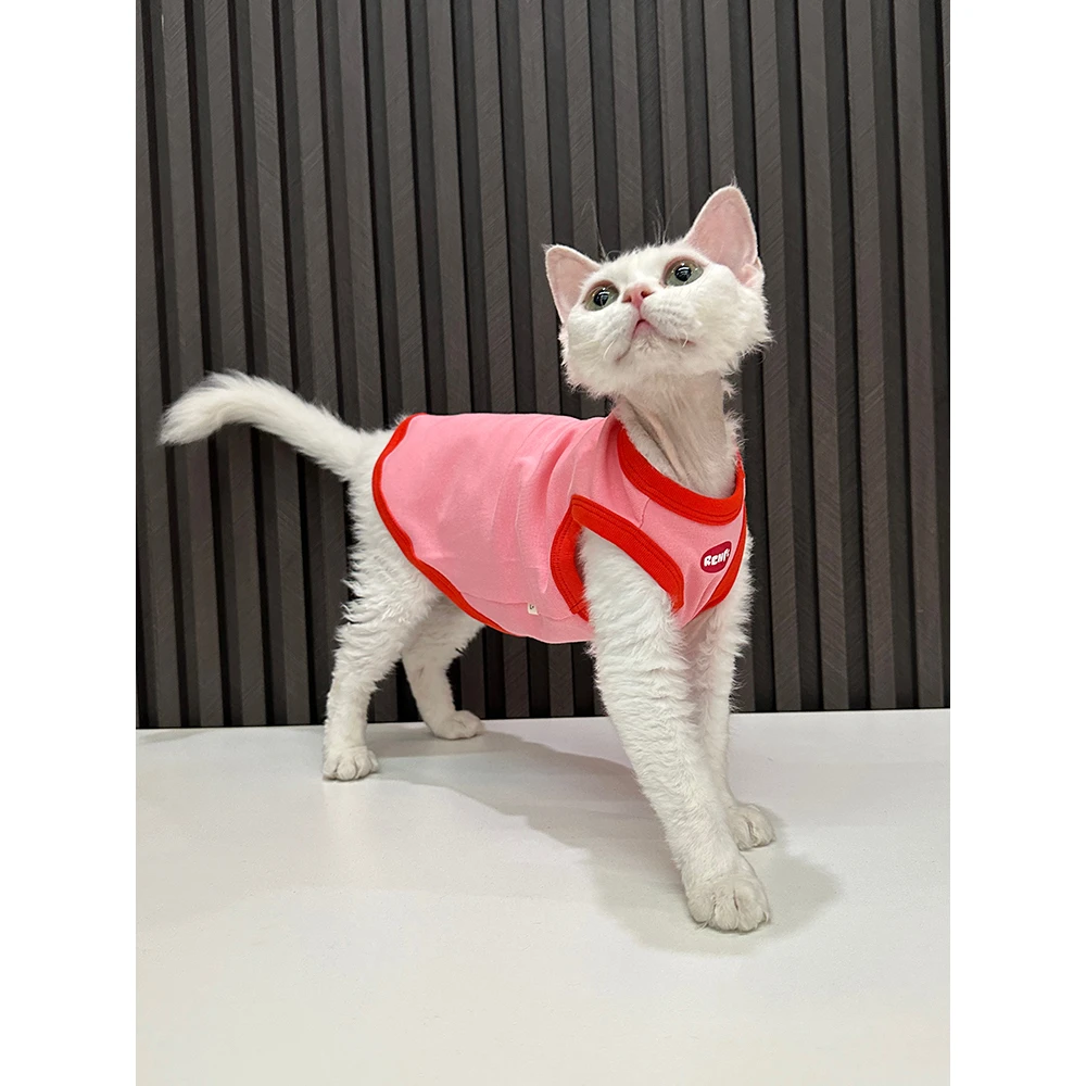 任发财原创潮牌背心纯棉无毛猫衣服德文衣服斯芬克斯猫可爱