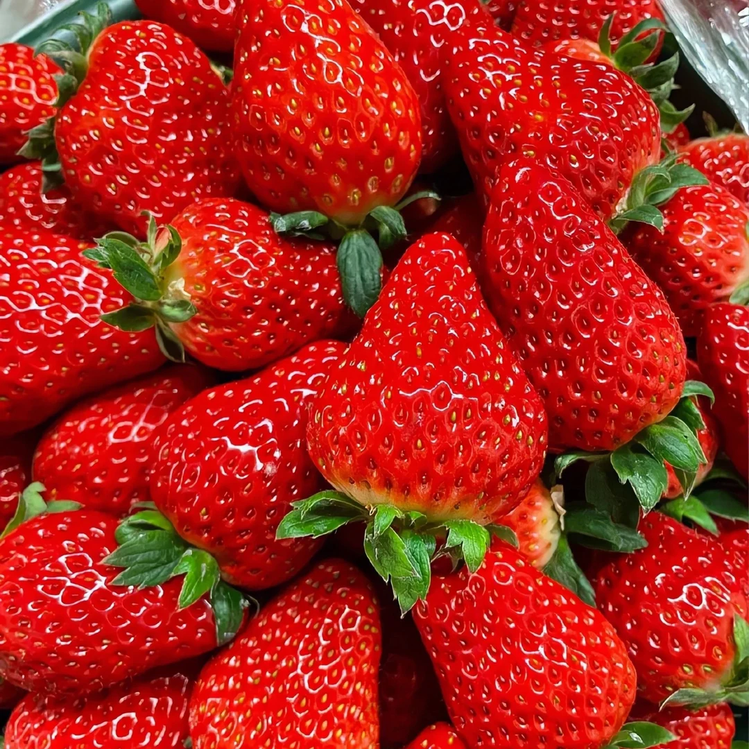 【同城配送】红颜草莓 2斤