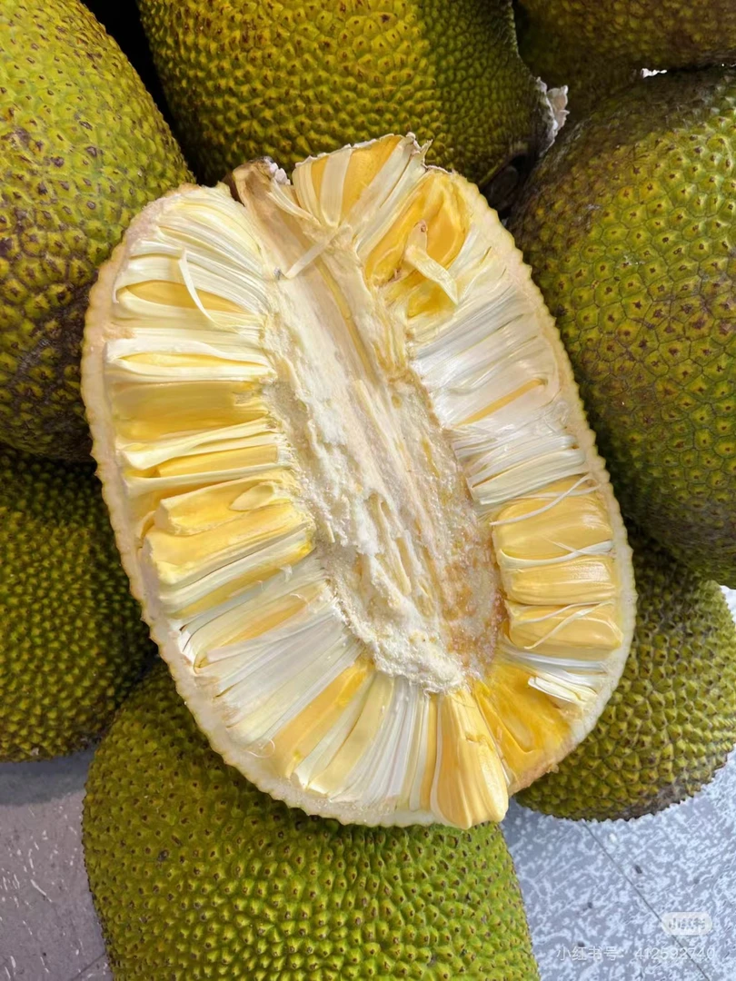 精选越南红肉菠萝蜜一个