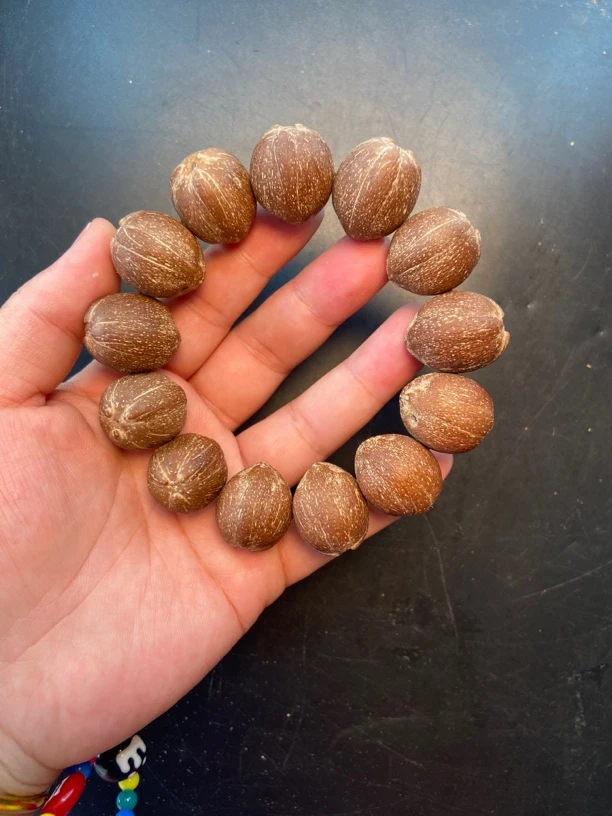 特价款紫金鼠20原皮手串