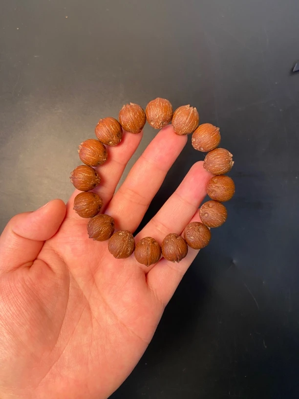 紫金鼠巴西籽原皮加菲猫手串