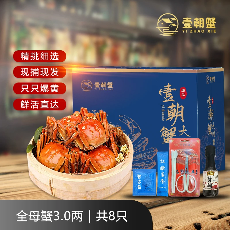 【活蟹】壹朝蟹精品苏州大闸蟹全母2.9-3.1两 8只高标准 鲜活顺丰