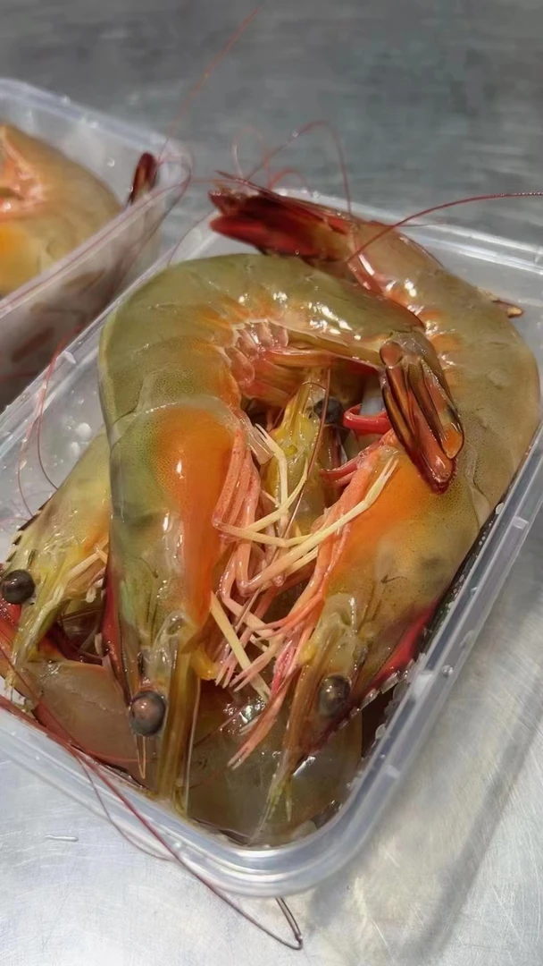 湛江天然海捕大明虾