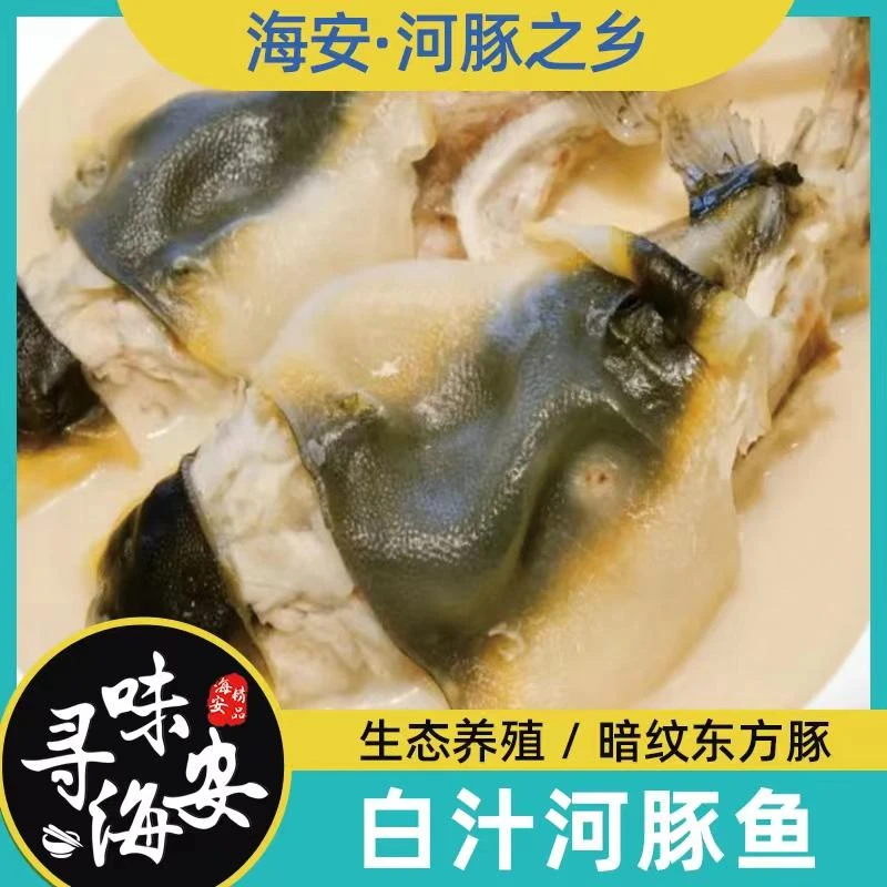 海安特产白汁河豚加热即食现做现发 2条 安全无毒 寻味海安