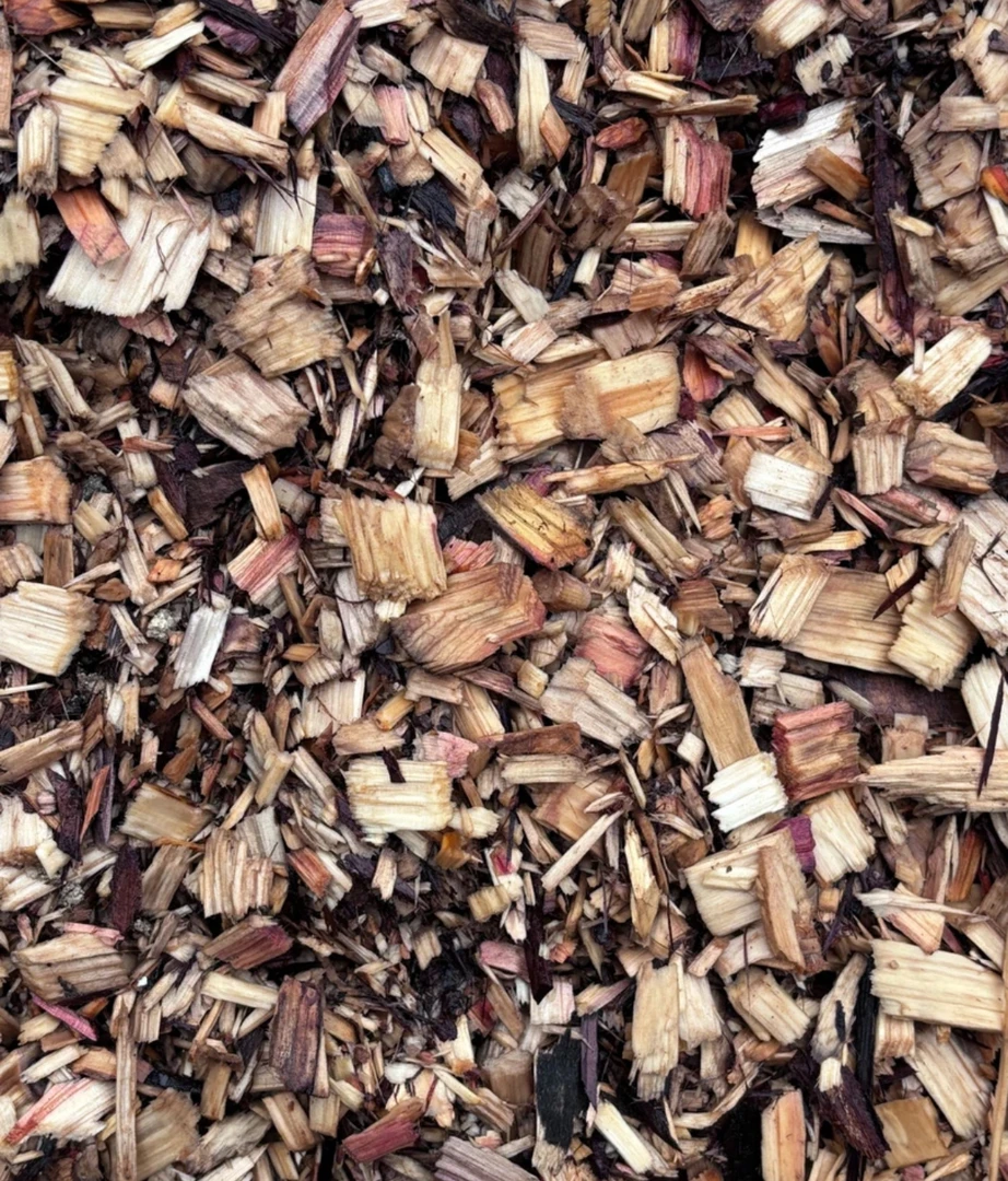 杉木削种植石斛兰花质料1袋