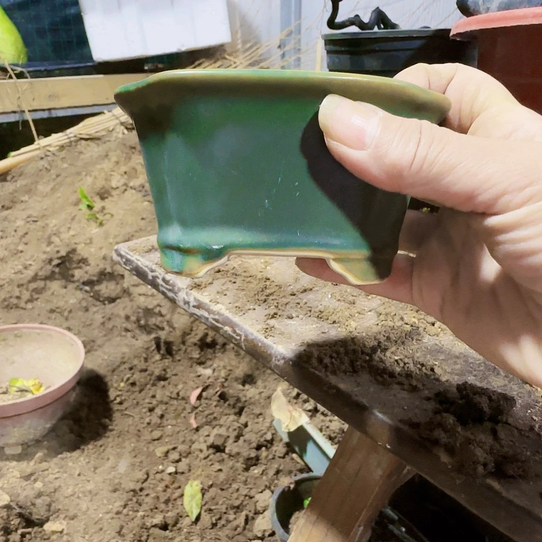 红陶20CM（含）-50CM（不含）釣***?