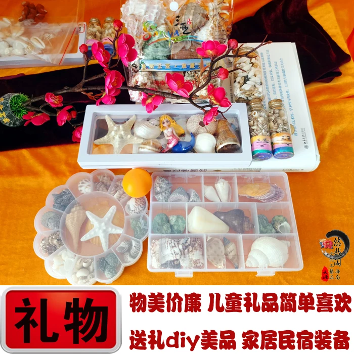 海螺贝壳漂流瓶包装称斤儿童生日礼物手工diy鱼缸造景寄居蟹换壳