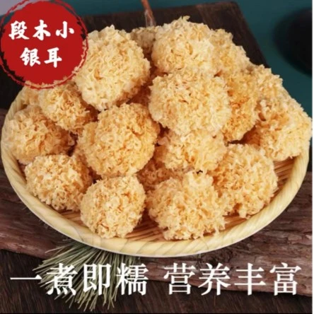 长白山特产椴木小银耳 无硫好出胶200克