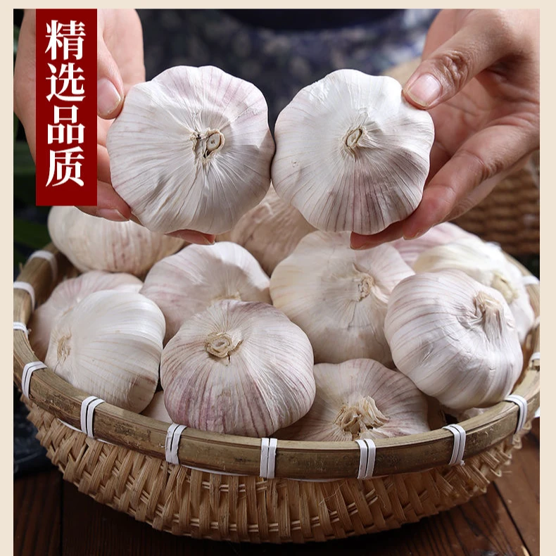 【今年新干蒜】十足干蒜产地直发 农户自种大蒜