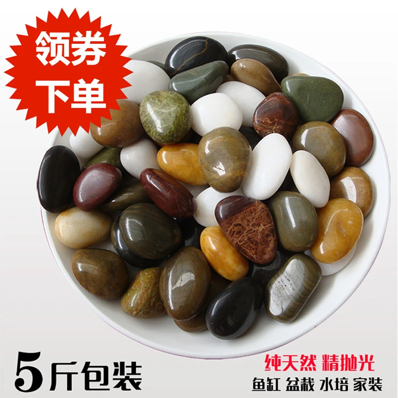 鹅卵石雨花石原石鱼缸花盆石天然小石子庭院装饰园艺五彩石头铺地
