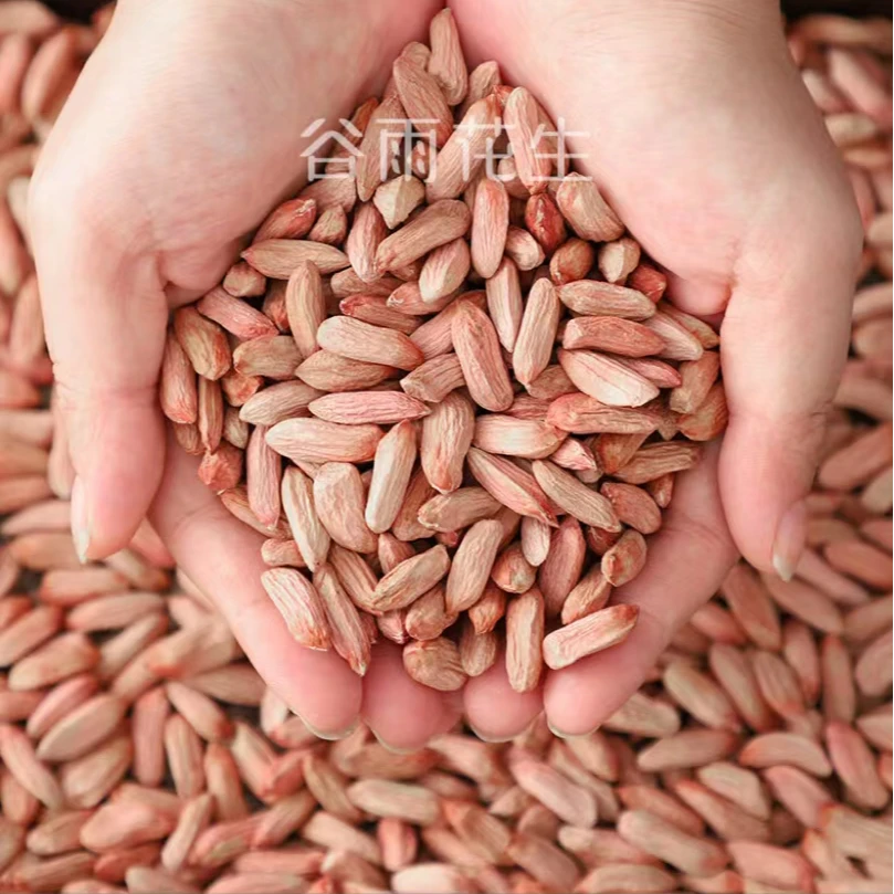 当季新货山东瘪干净批发新鲜晾晒农家特产去壳挑选秕生花生米甘甜