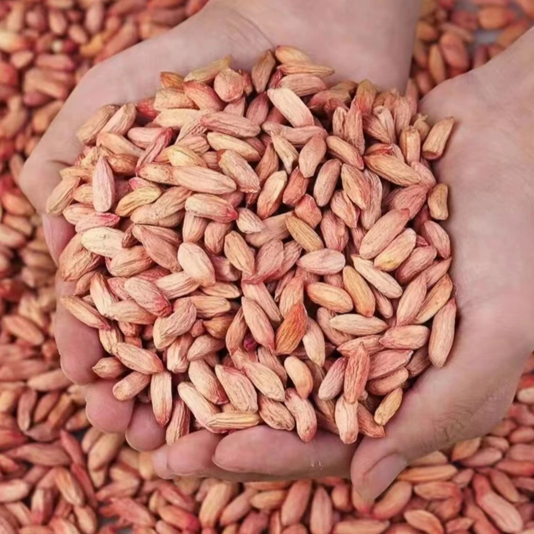 山东瘪花生2024年新米小瘪子花生米低油甘甜秕子生花生农家手工选