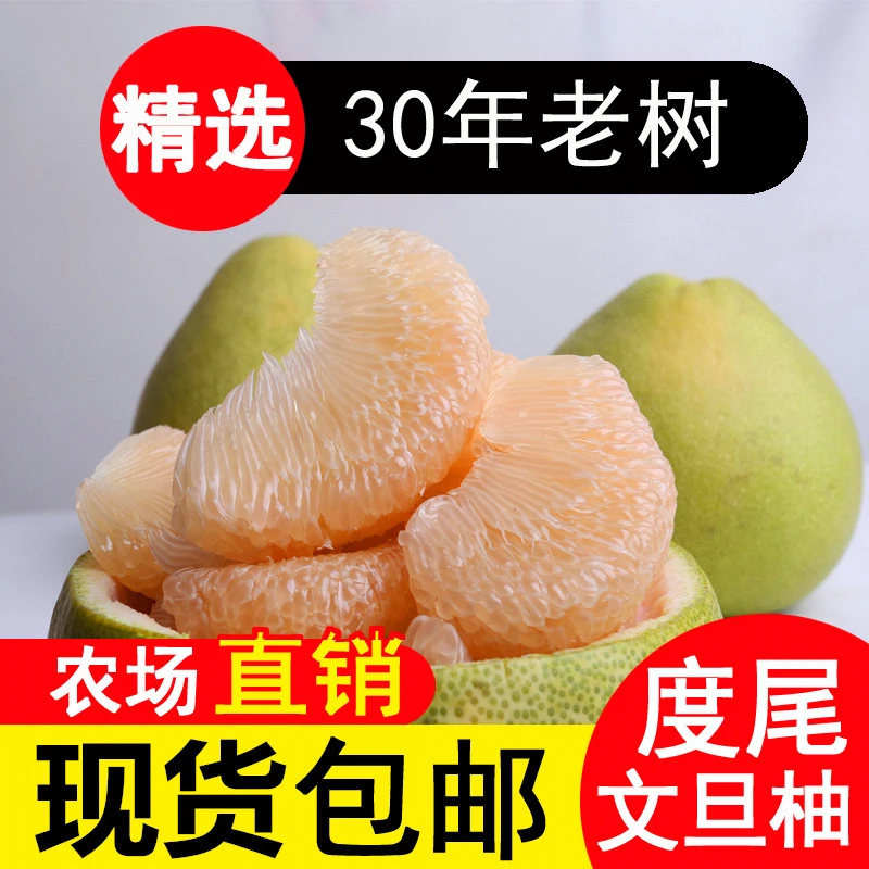 福建度尾文旦柚红心蜜柚产地柚子新鲜应季孕妇时令水果酸甜多汁甜