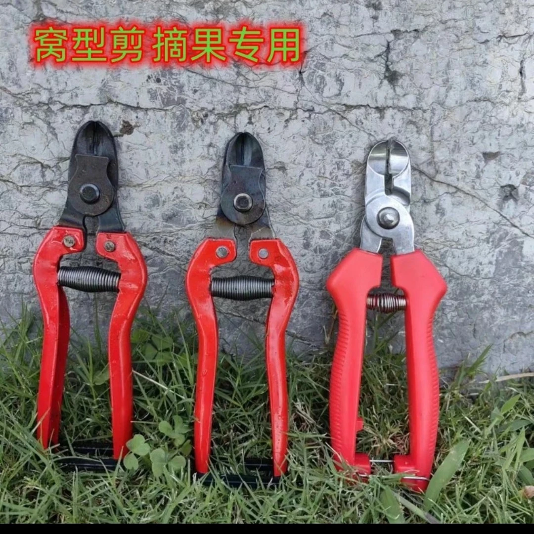 果把剪苹果把绿化剪刀（特价）窝子剪果把剪苹果把剪把摘果剪刀家用
