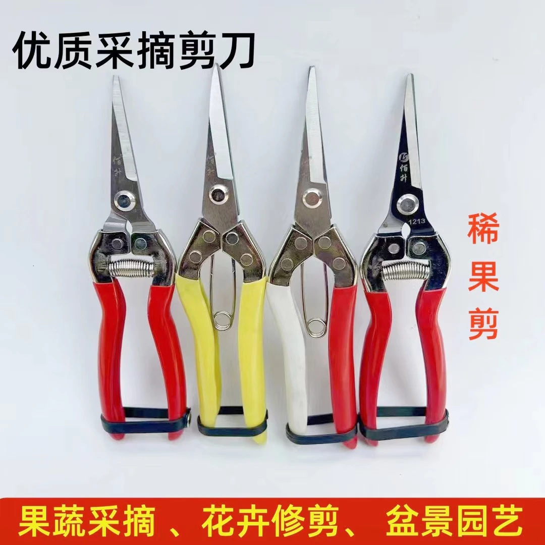 稀果剪 疏花疏果剪 剪果把剪刀