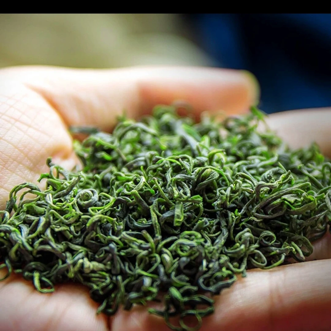 【2025新茶】恩施硒茶源头工厂明前炒青云雾绿茶回甘栗香十足浓香型