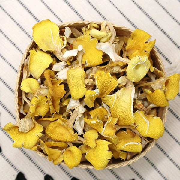 云南露天种植鸡油菌菇100g食用菌菇火锅食材