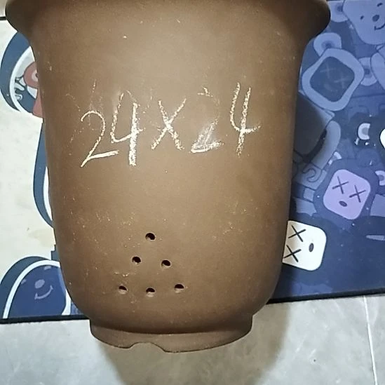紫砂20CM（含）-50CM（不含）特大金钟瑕疵一个