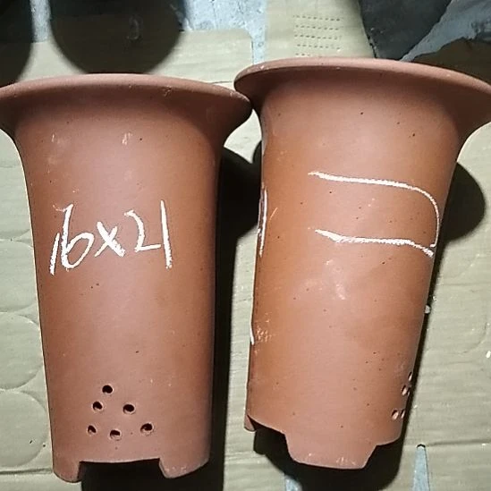 紫砂20CM（含）-50CM（不含）小红兰花两个微瑕点点