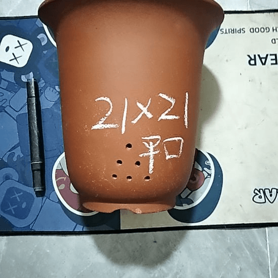 紫砂20CM（含）-50CM（不含）红泥平口金钟瑕疵一个