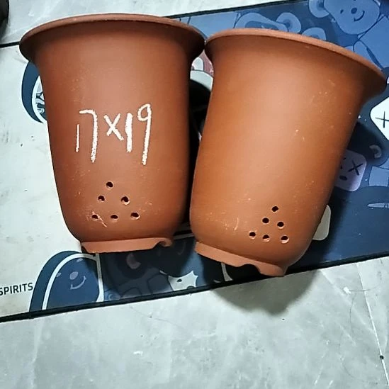 紫砂20CM（含）-50CM（不含）红泥福利金钟微瑕