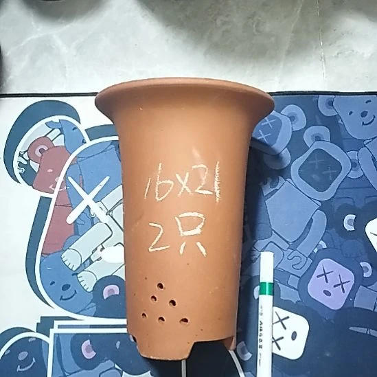 紫砂20CM（含）-50CM（不含）小红兰花两个微瑕点点