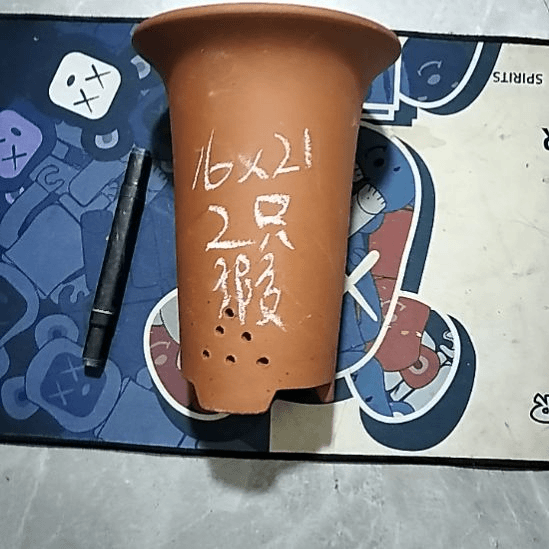 紫砂20CM（含）-50CM（不含）小红兰花两个微瑕点点