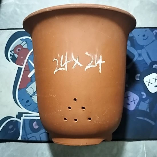 紫砂20CM（含）-50CM（不含）红泥特大金钟瑕疵一个