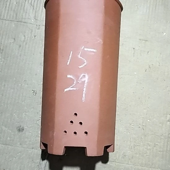 紫砂20CM（含）-50CM（不含）红泥高六方带口沿微瑕