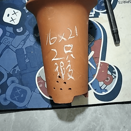 紫砂20CM（含）-50CM（不含）小红兰花两个微瑕点点
