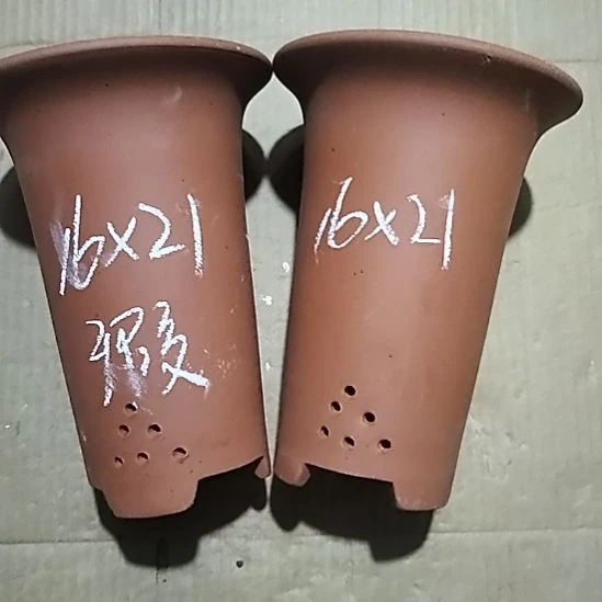 紫砂20CM（含）-50CM（不含）小红兰花两个微瑕点点