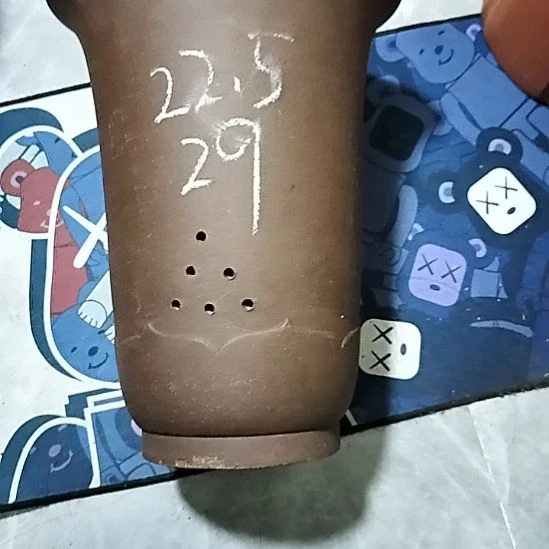 紫砂20CM（含）-50CM（不含）莲花金钟微瑕一个