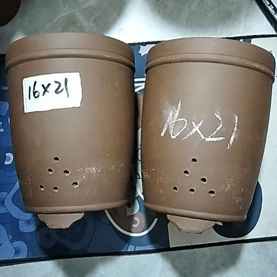 紫砂20CM（含）-50CM（不含）三线紫泥两个微瑕