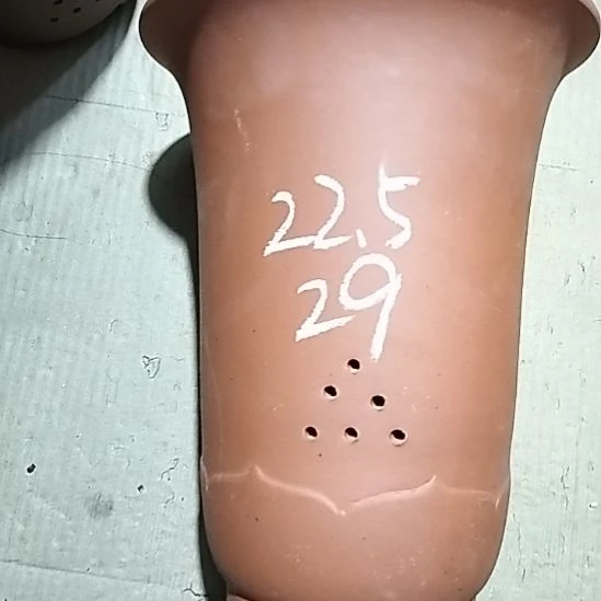 紫砂20CM（含）-50CM（不含）红泥莲花金钟微瑕一个