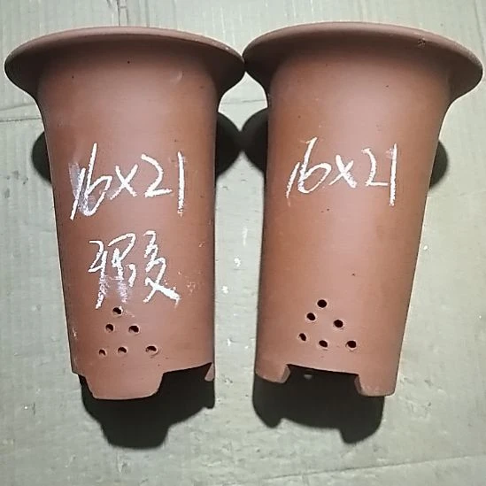 紫砂20CM（含）-50CM（不含）小红兰花两个微瑕点点