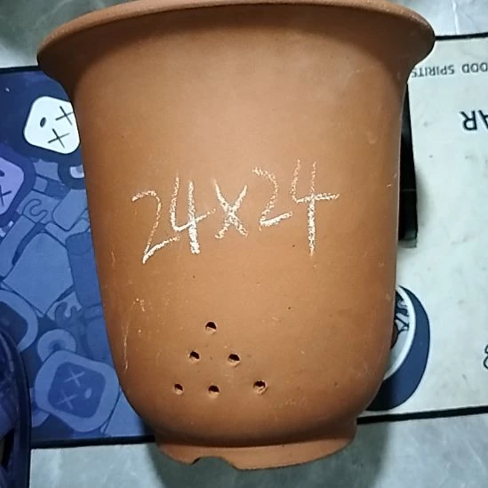 紫砂20CM（含）-50CM（不含）红泥特大金钟一个微瑕