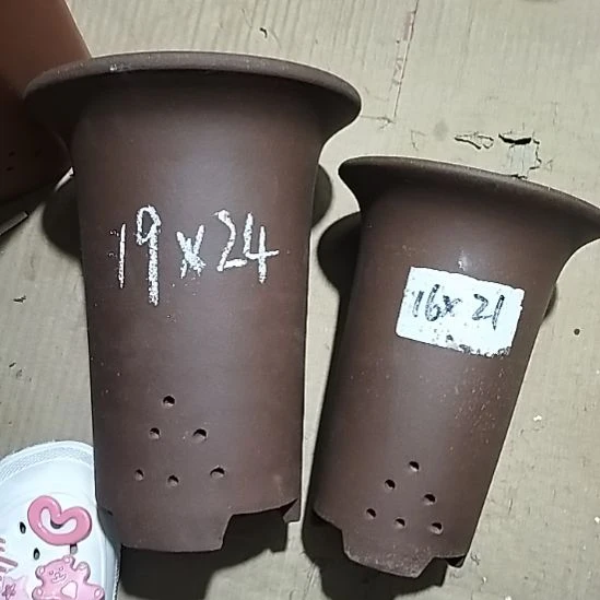 紫砂20CM（含）-50CM（不含）兰花盆微瑕